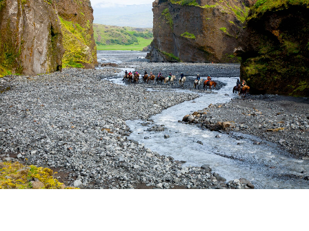 Riding with the Herd in Iceland 